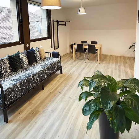 Agency Csa * نورنبيرغ